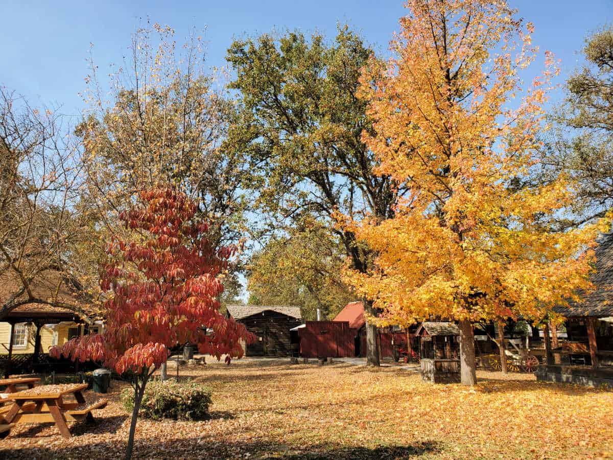 Fresno Flats Oakhurst California