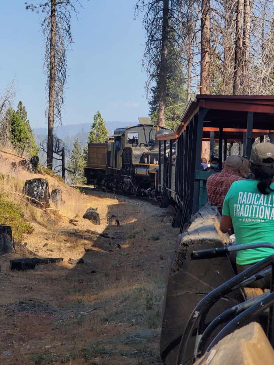 Yosemite Sugar Pine Railroad