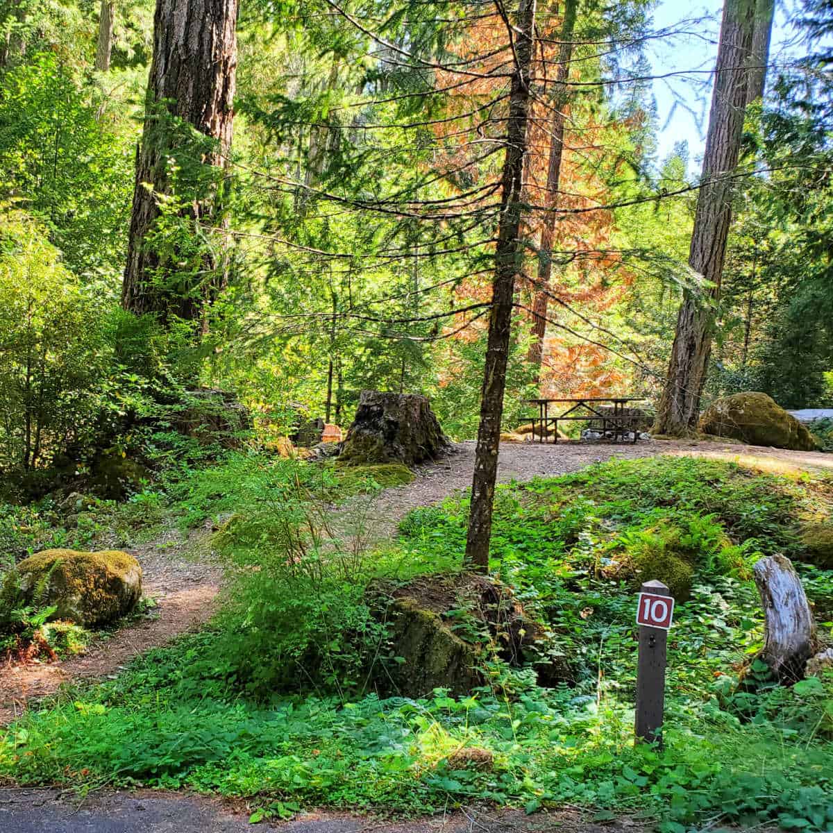 Campsite 10 Cave Creek Campground, Oregon Caves National Monument Oregon