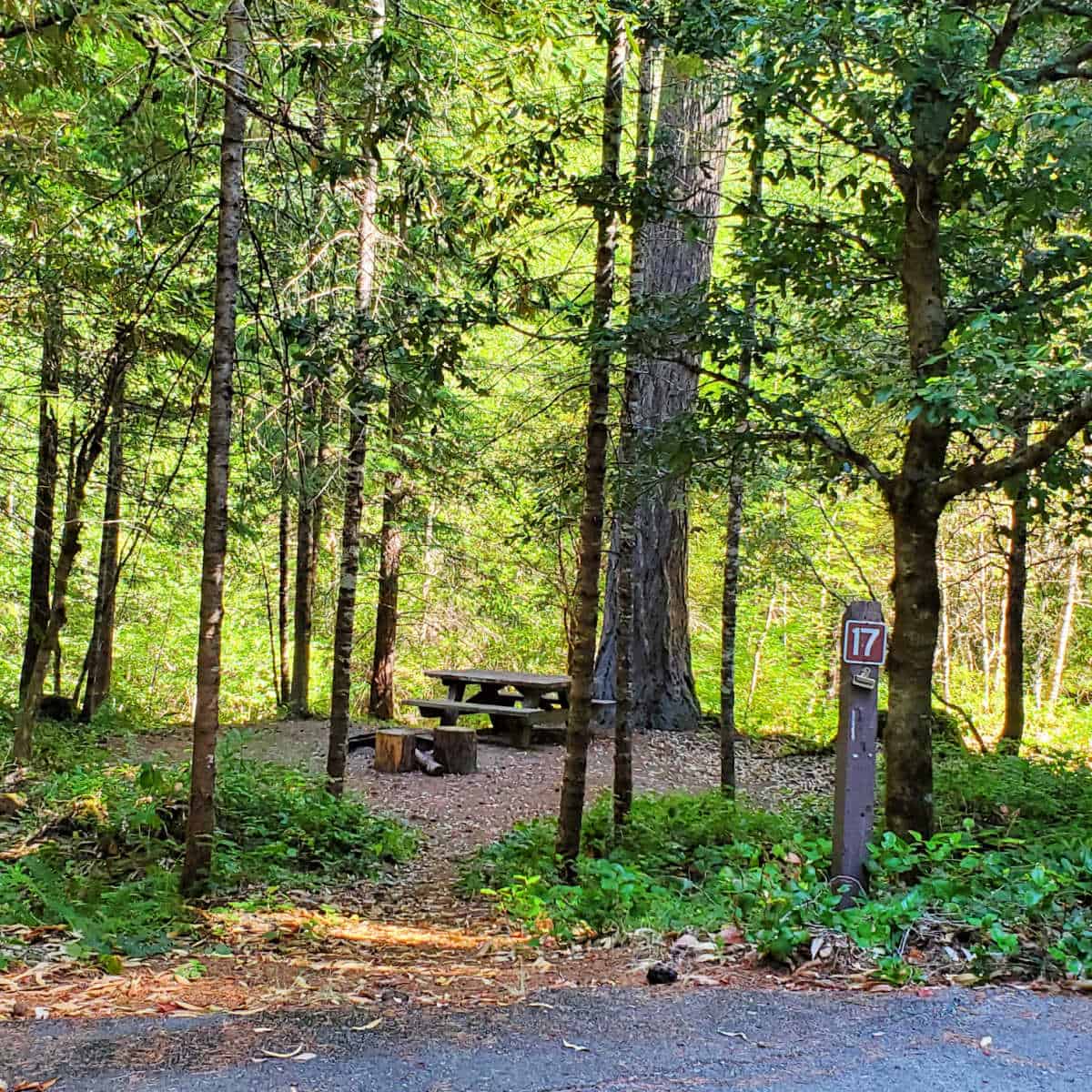 Campsite 17 Cave Creek Campground, Oregon Caves National Monument Oregon