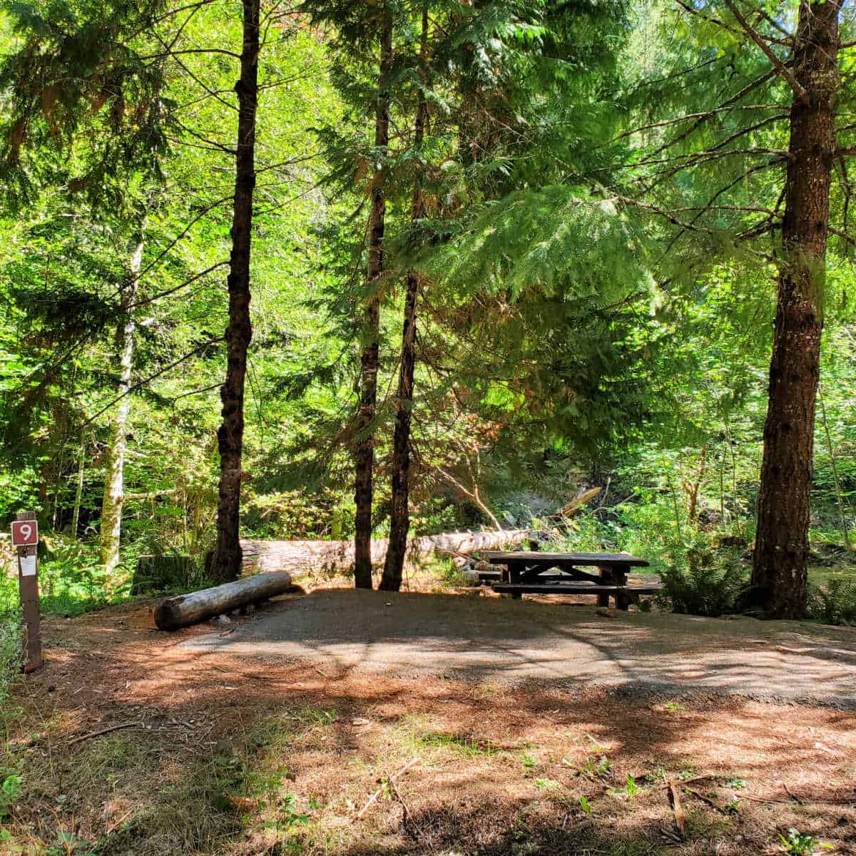 Campsite 9 Cave Creek Campground, Oregon Caves National Monument Oregon