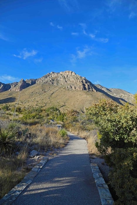 Things to do Guadalupe Mountains National Park  Park Ranger John