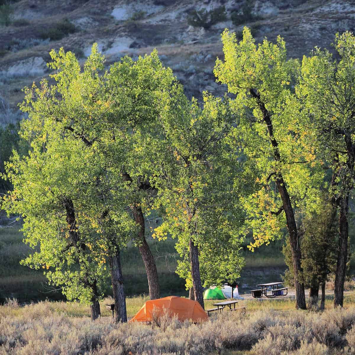 Camping near the river at Cottonwood Campground Theodore Roosevelt National Park 