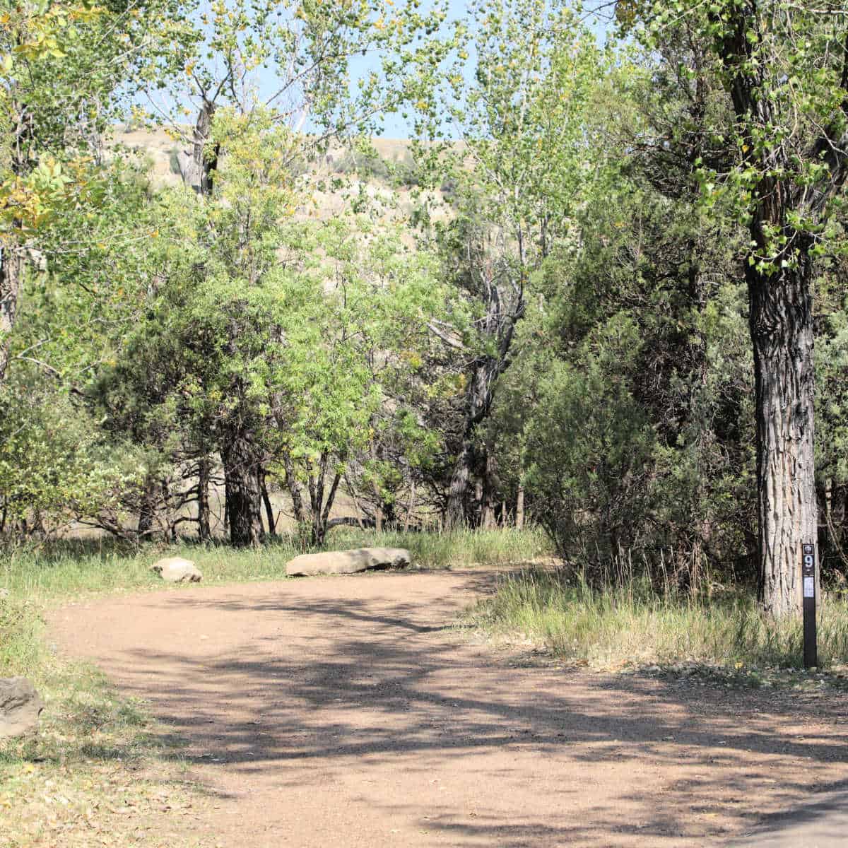 Campsite 9 Cottonwood Campground Theodore Roosevelt National Park 