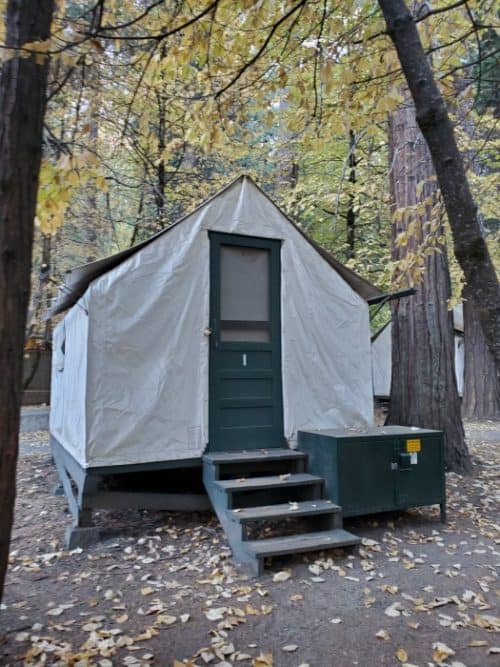 Curry Village Yosemite National Park Park Ranger John