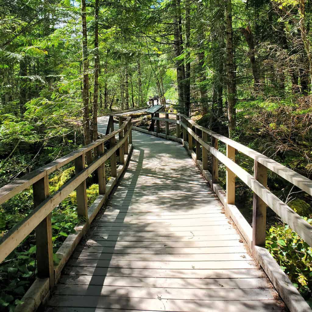 Kautz Creek Trail near the National Park Inn