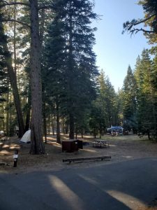 campground manzanita