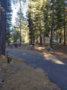 manzanita campground d25