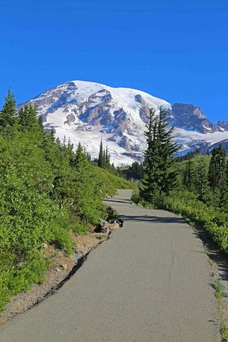 https://www.parkrangerjohn.com/wp-content/uploads/2020/06/Mt-Rainier-Paradise-Area-Trail.jpg