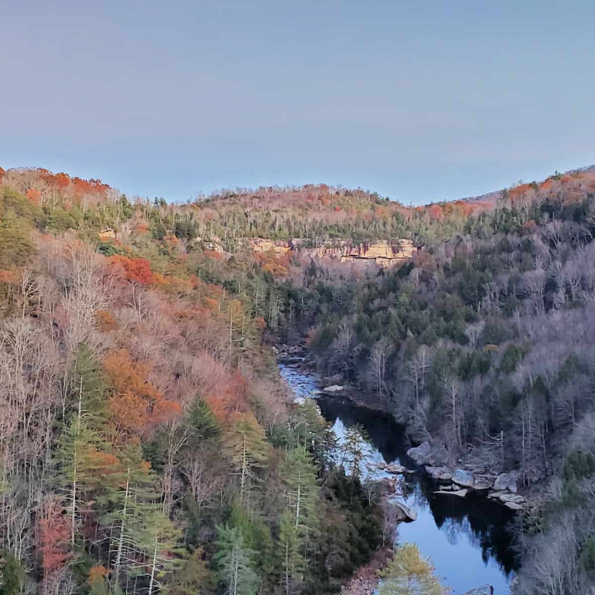 Obed wild and Scenic River in the background from Sunset Overlook viewpoint