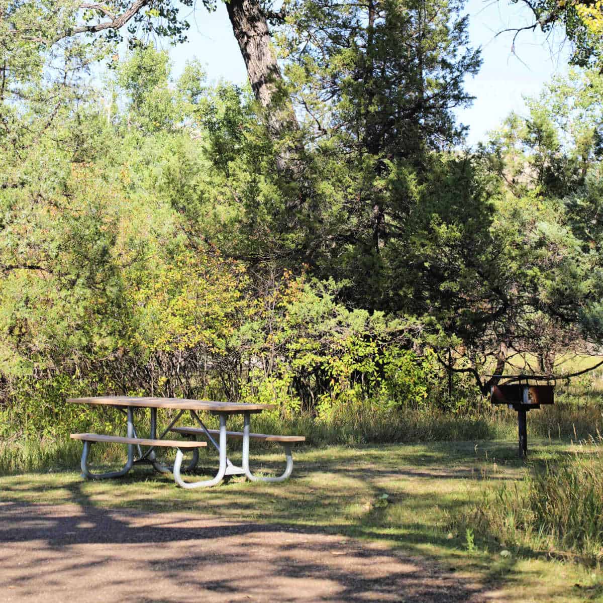 Campsite in Juniper Campground ND