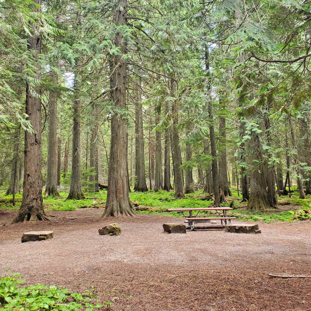 Campsite in Avalanche Campground, Glacier National Park