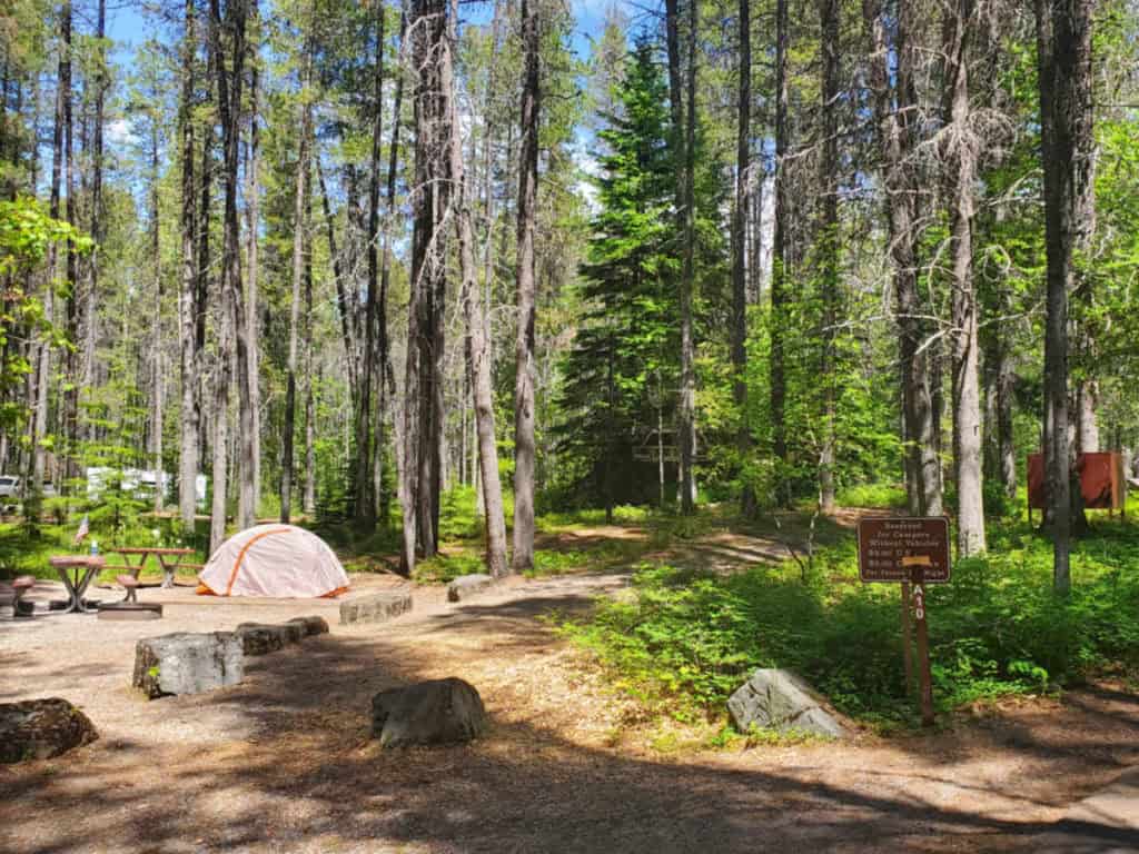 Campsite 10 Apgar Campground, Glacier National Park