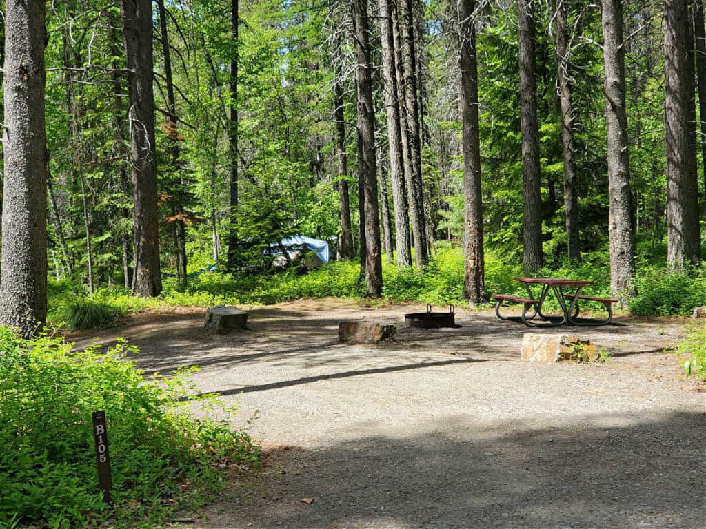 Campsite 105 Apgar Campground, Glacier National Park