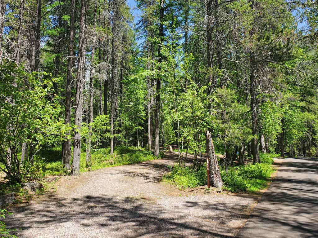 Campsite 15 Apgar Campground, Glacier National Park
