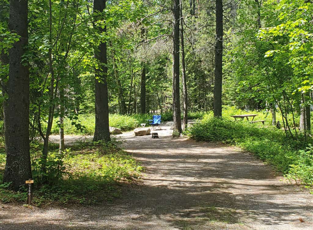Campsite 150 Apgar Campground, Glacier National Park
