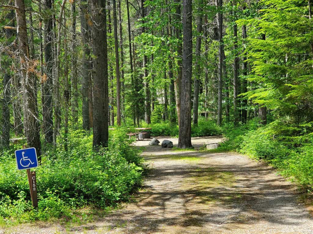 Campsite 152 Apgar Campground, Glacier National Park