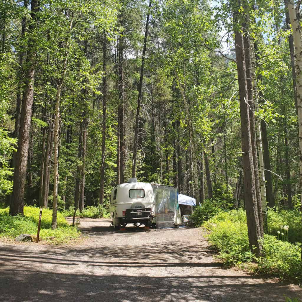 Campsite 16 Apgar Campground, Glacier National Park