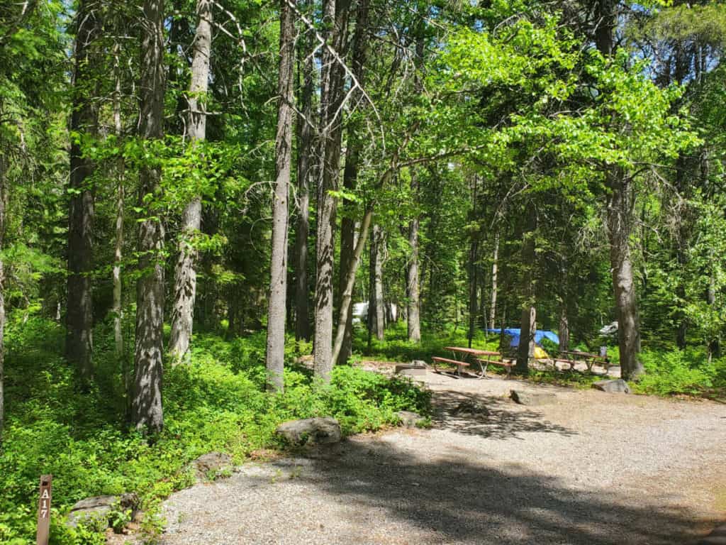 Campsite 17 Apgar Campground, Glacier National Park