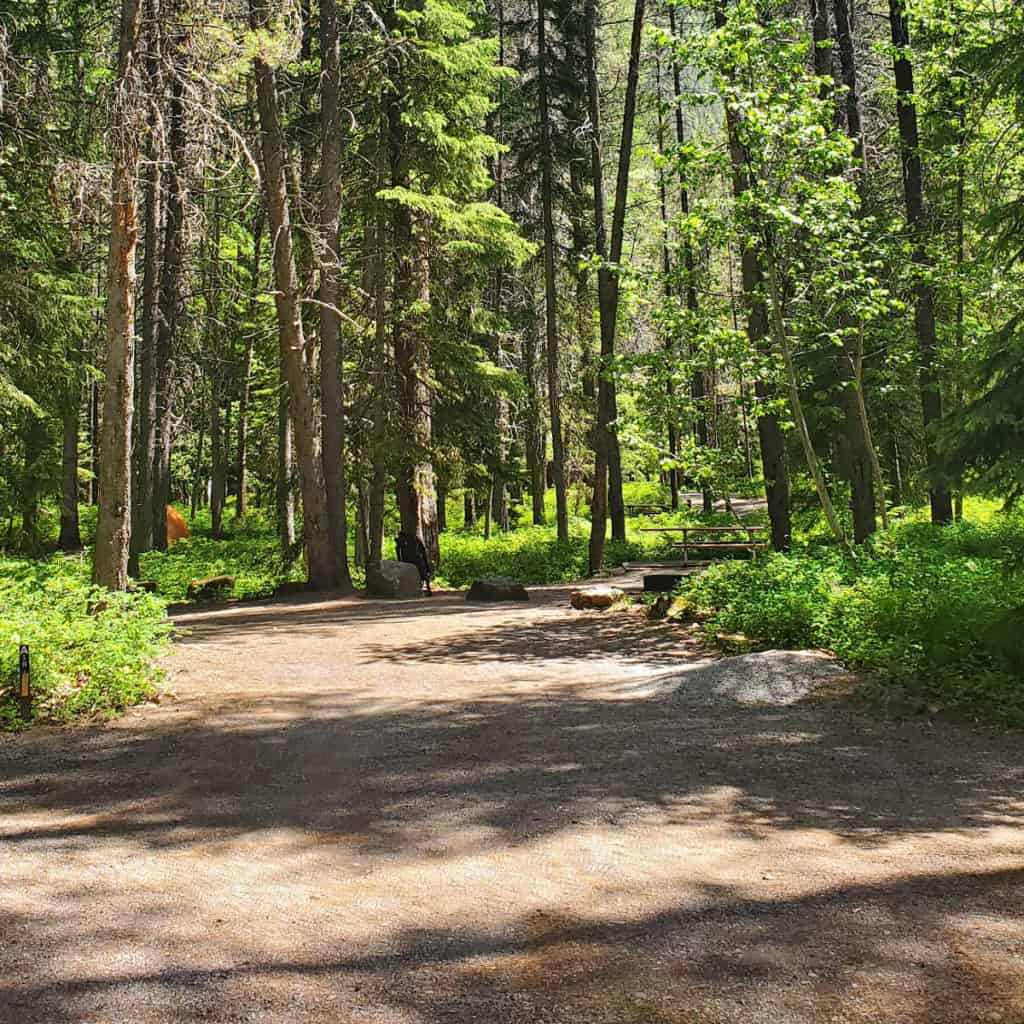 Campsite 18 Apgar Campground, Glacier National Park
