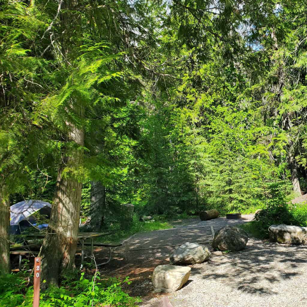 Campsite 20 Sprague Creek Campground Glacier National Park
