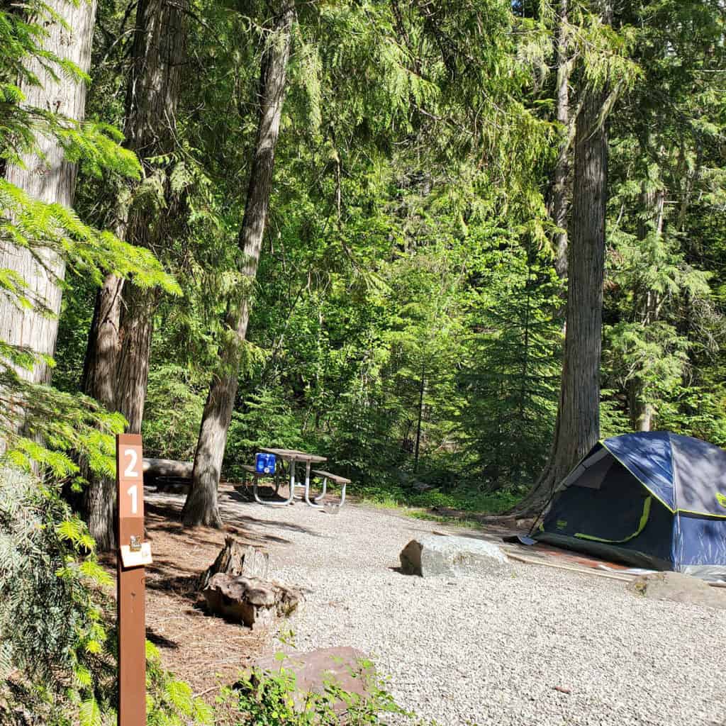 Campsite 21 Sprague Creek Campground Glacier National Park