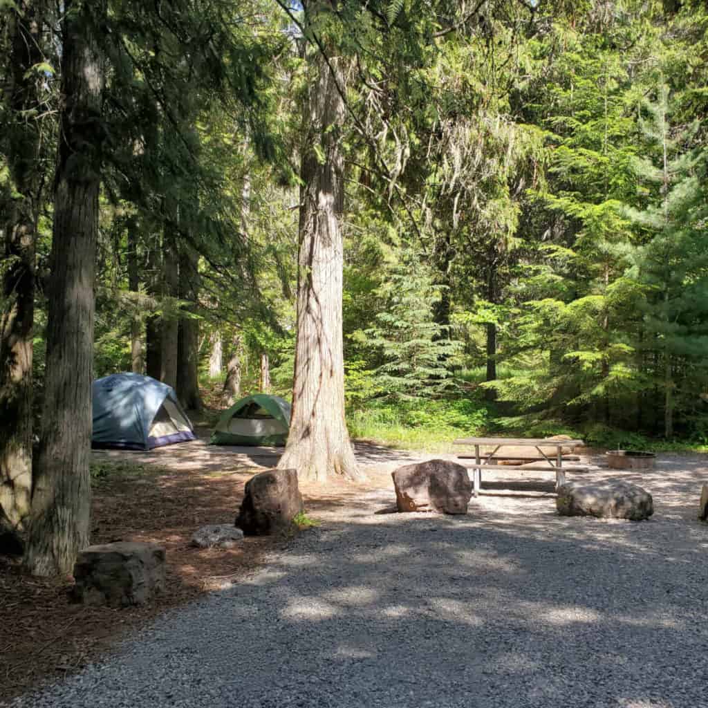 Campsite 22 Sprague Creek Campground Glacier National Park