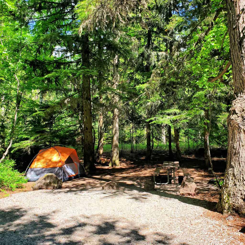 Campsite 24 Sprague Creek Campground Glacier National Park