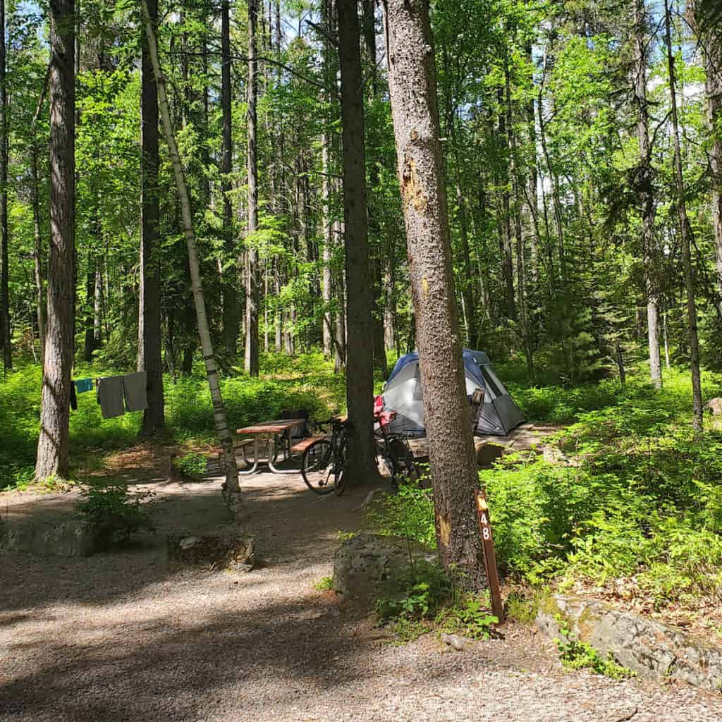 Campsite 48 Apgar Campground, Glacier National Park