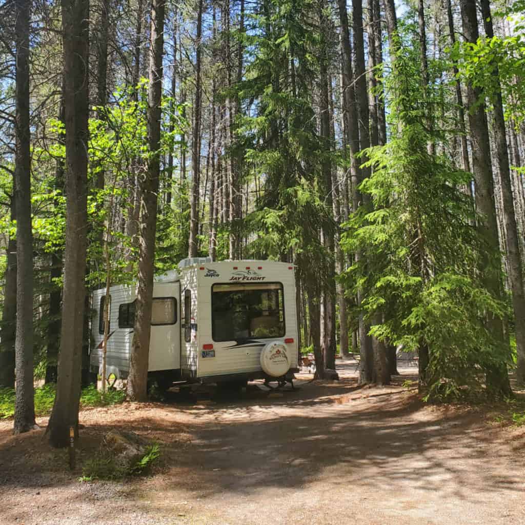 Campsite 52 Apgar Campground, Glacier National Park