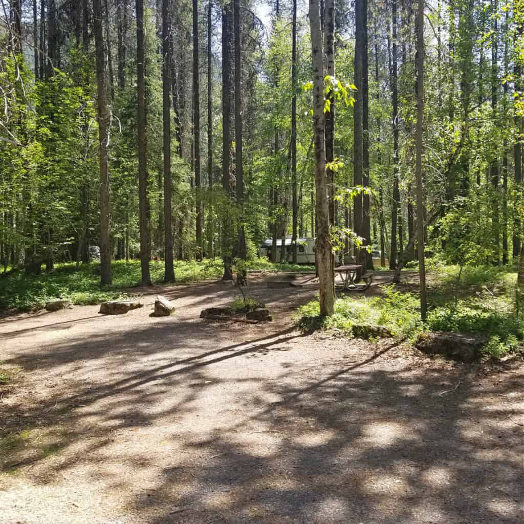 Campsite 7 Apgar Campground, Glacier National Park