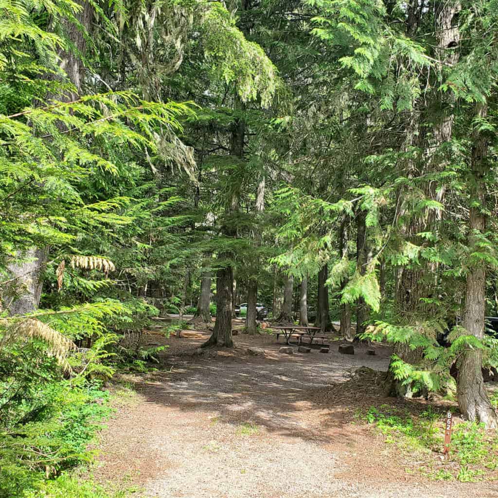 Campsite B62 in Avalanche Campground, Glacier National Park
