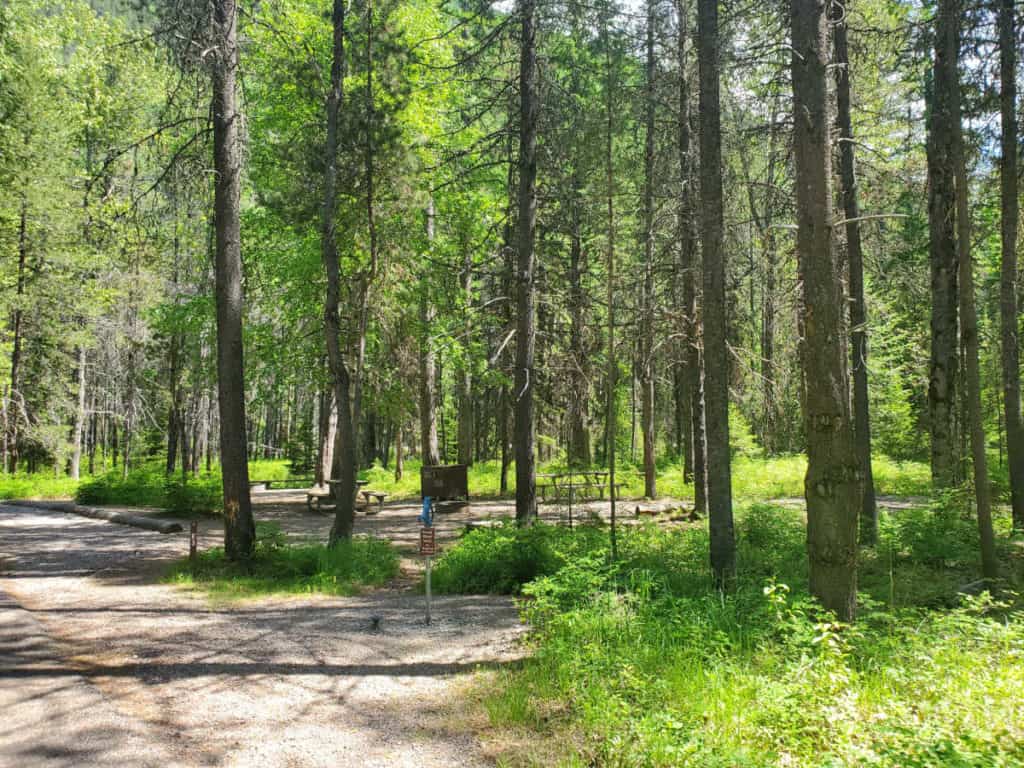 Group site E3 Apgar Campground, Glacier National Park