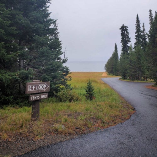 Bridge Bay Campground Yellowstone National Park