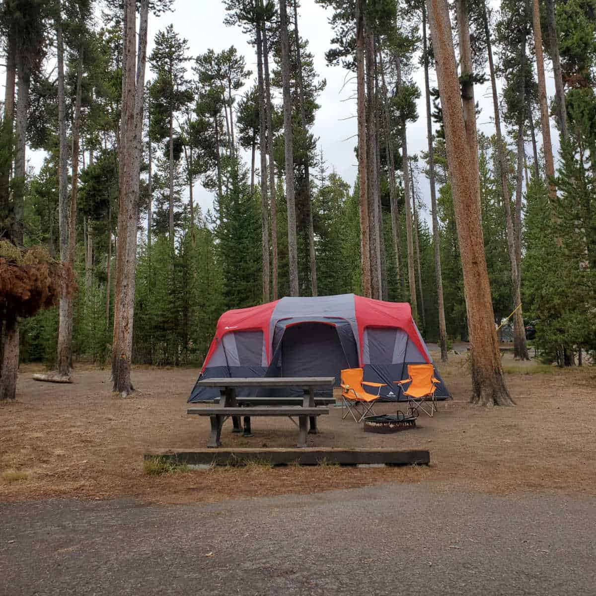 Camping Grant Campground Yellowstone National Park