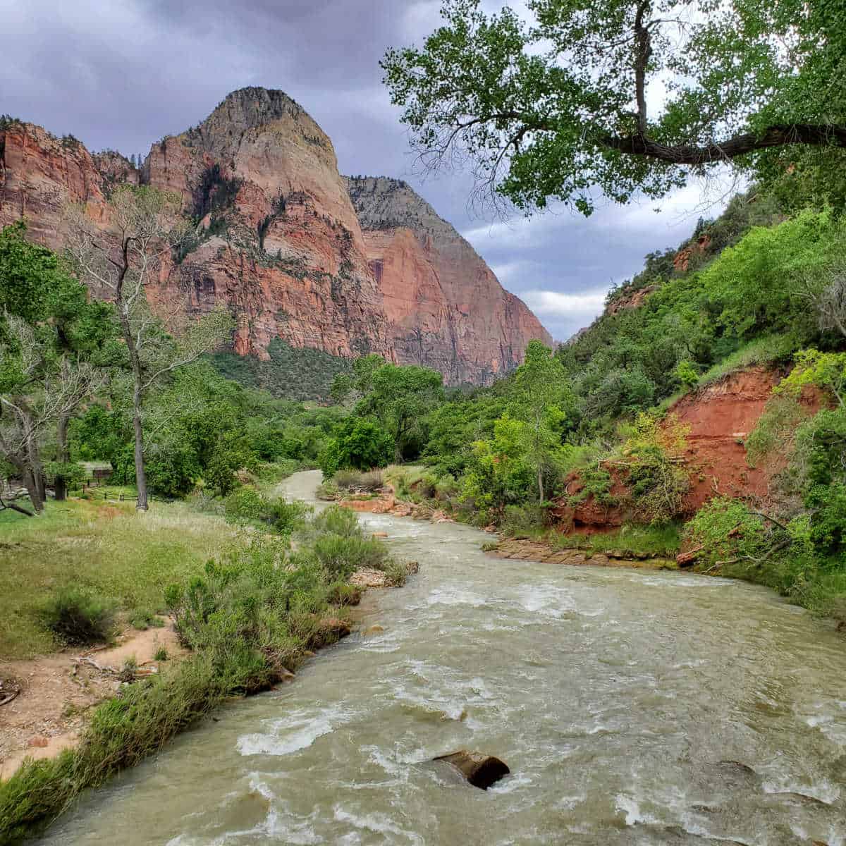 Crossing the Virgin River on the Emerald Pools Trail and looking up Zion Canyon