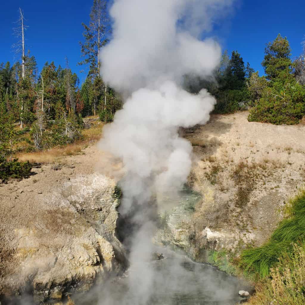 Dragon's Mouth Spring Mud Volcano Yellowstone National Park