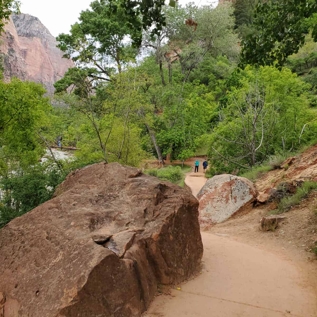 Hiking along the Lower Emerald Pool Trail next to the Virgin River