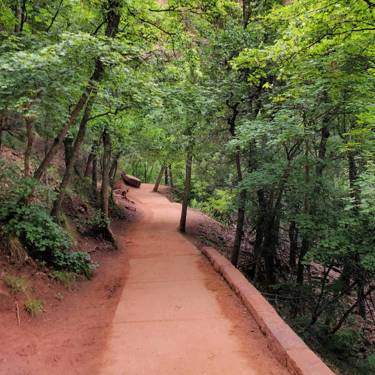 Nice shade along the Emerald Pools Trail in Zion National Park