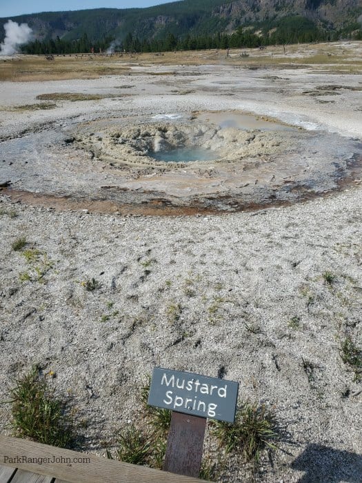 small pool of water in the middle of Mustard Spring with brown/yellow rocks in a circle