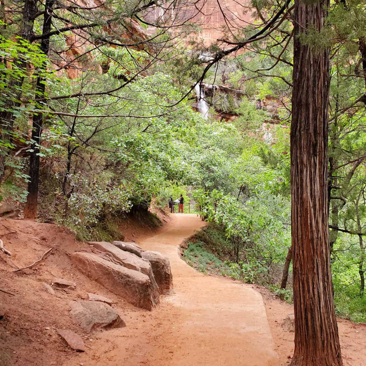 Closr to Lower Emerald Pool at Zion National Park