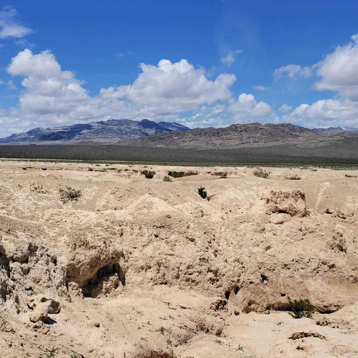 Tule Springs Fossil Beds National Monument in Nevada