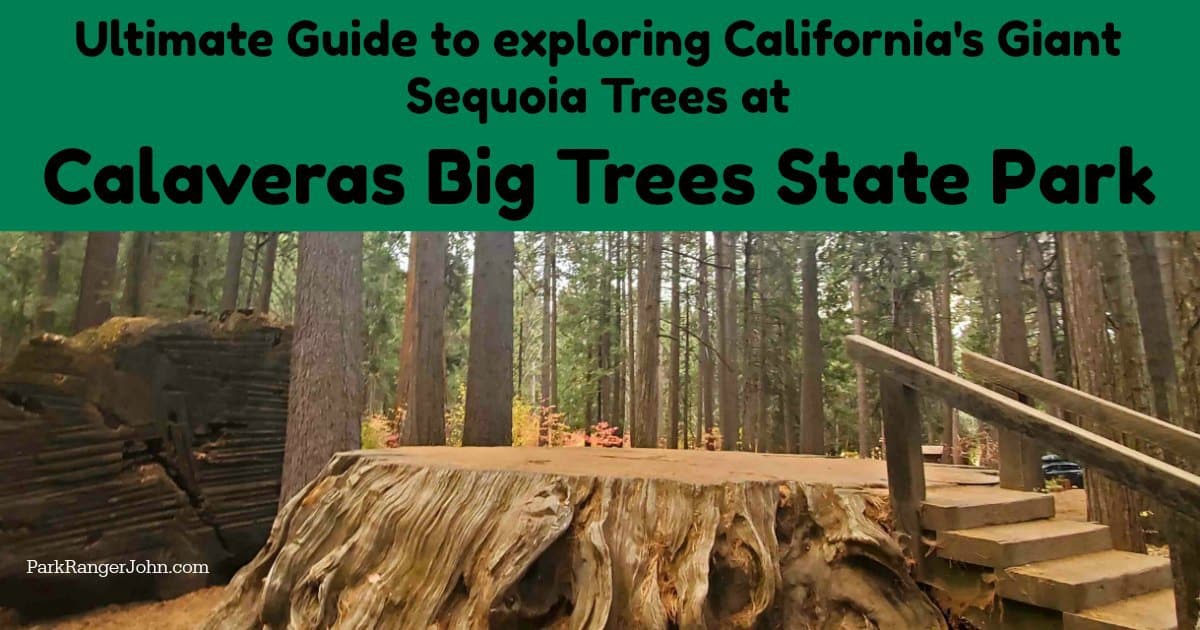 Calaveras Big Trees State Park California Park Ranger John