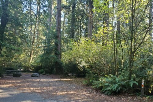 Jedediah Smith Campground - Jedediah Smith Redwoods State Park | Park ...