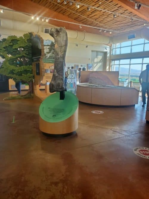 dinosaur national monument visitor center