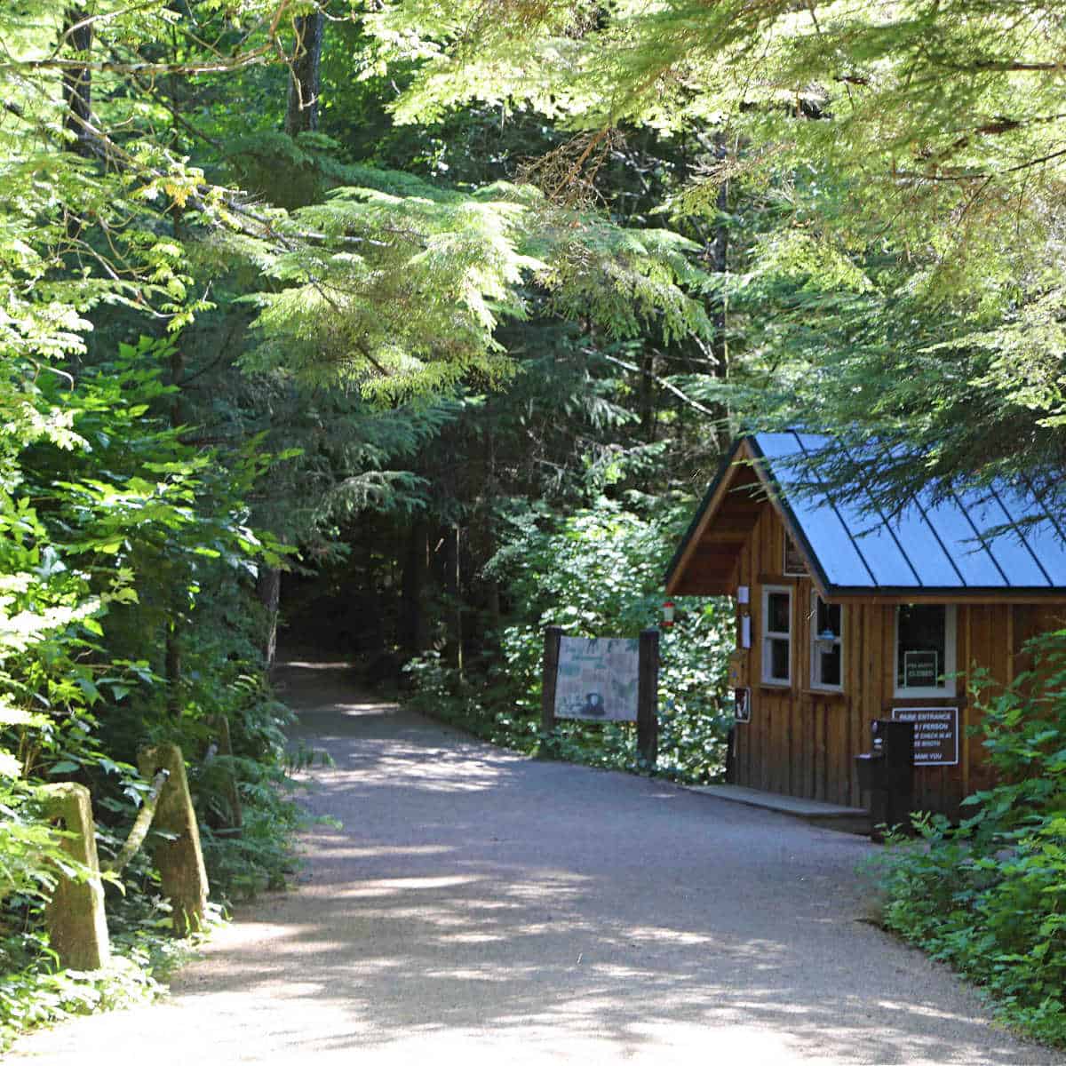 Totem Pole trail at Totem Bight State Historical Park