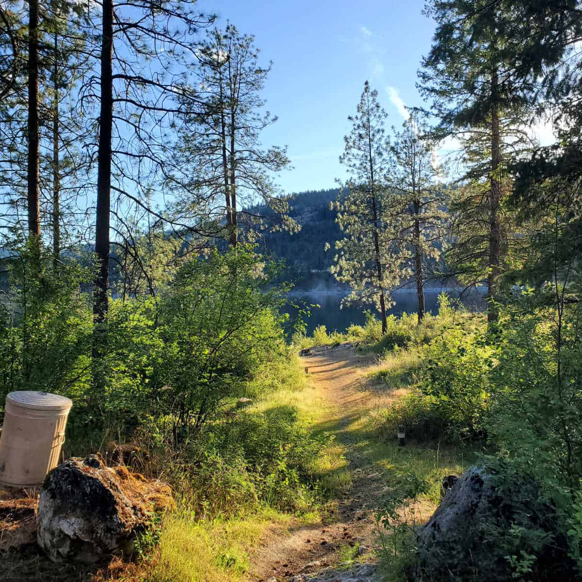 Campsite 10 North Gorge Campground Lake Roosevelt National Recreation Area