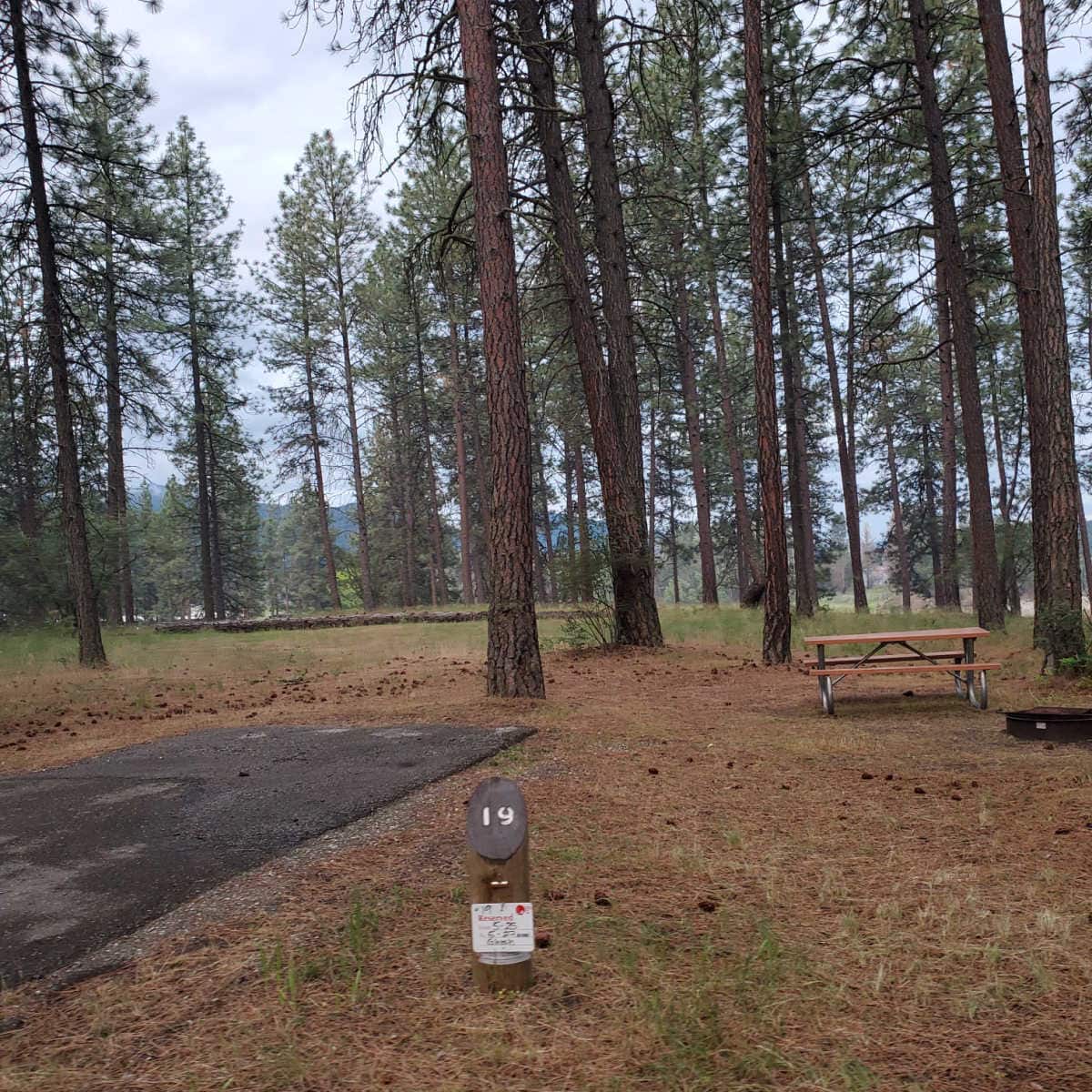 Campsite 19 Kettle Falls Campground Lake Roosevelt National Recreation Area Washington