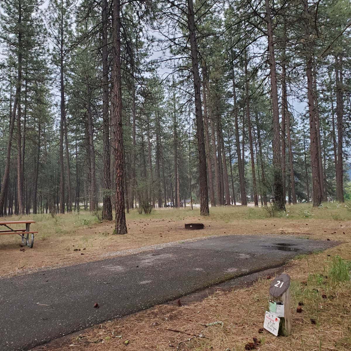 Campsite 21 Kettle Falls Campground Lake Roosevelt National Recreation Area Washington