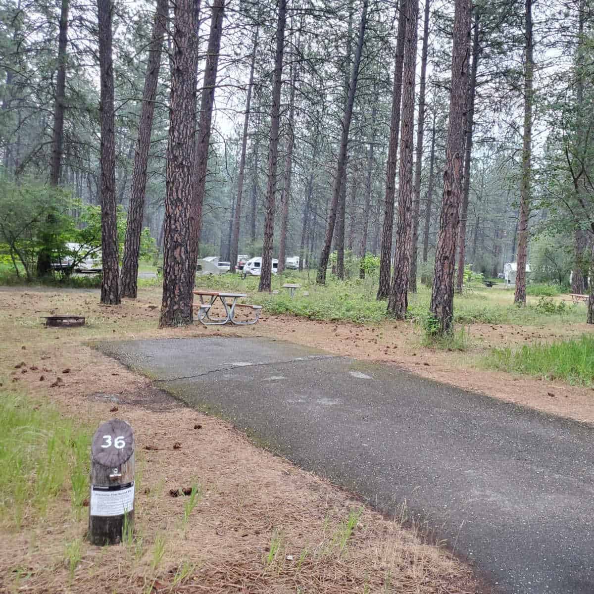 Campsite 36 Kettle Falls Campground Lake Roosevelt National Recreation Area Washington